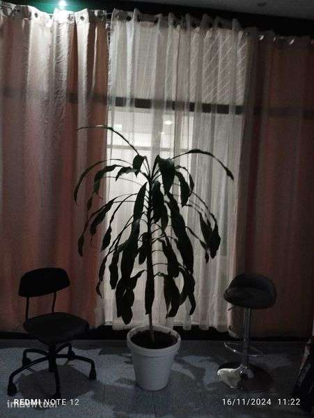 Trespasse de negócio - Grande imagem: 2/9