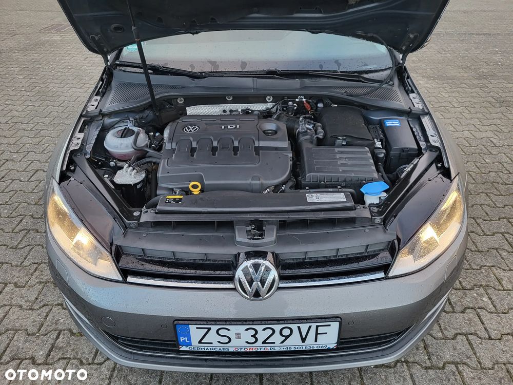 Volkswagen Golf 1.6 TDI BlueMotion Technology DSG Trendline - 19