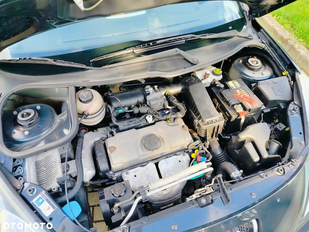 Peugeot 206 plus 75 - 17
