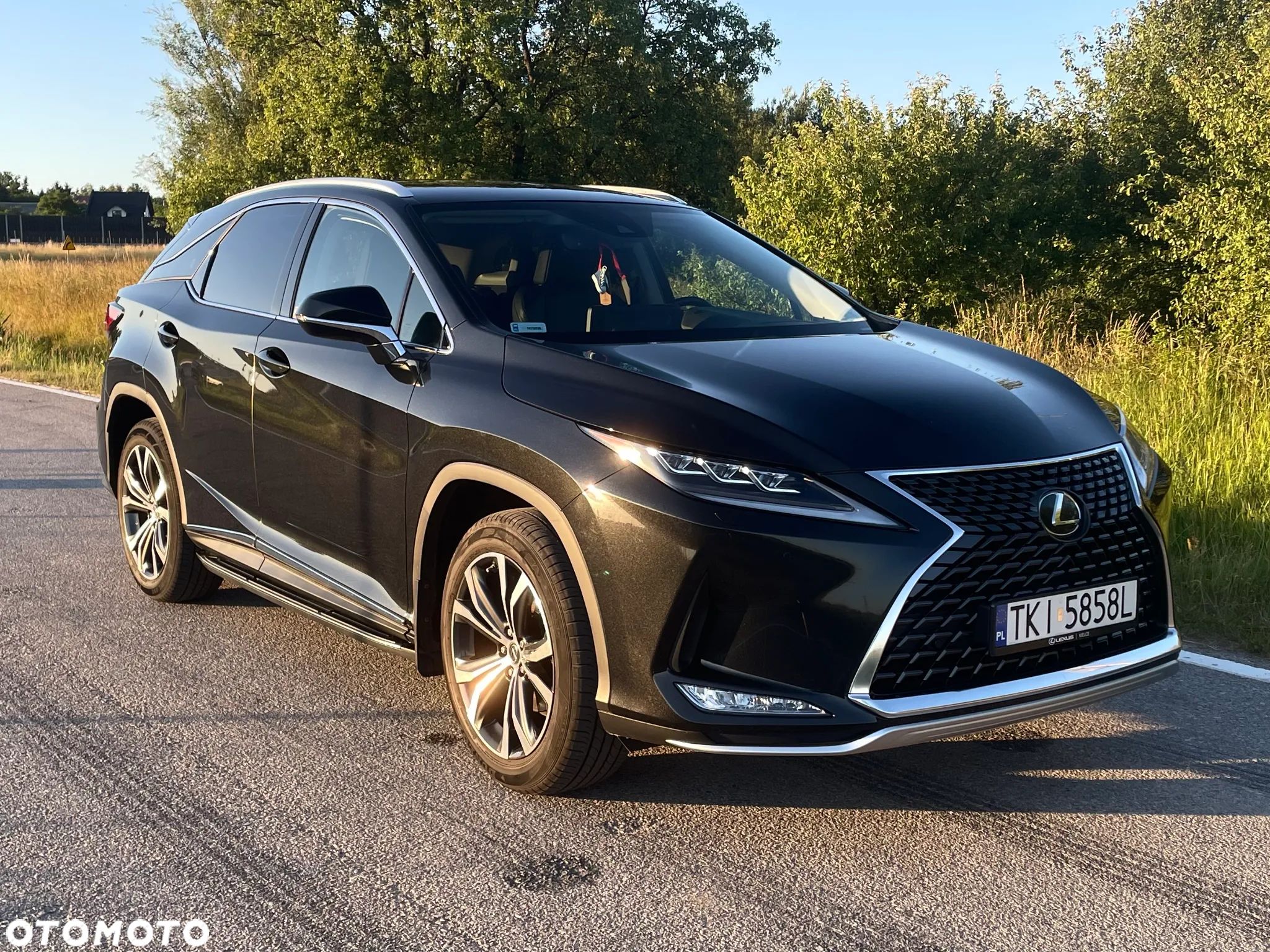 Lexus RX 300 Business Edition + - 1