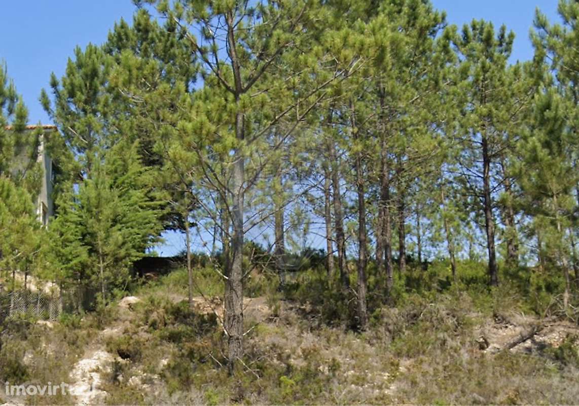 Terreno  para venda - Grande imagem: 4/14