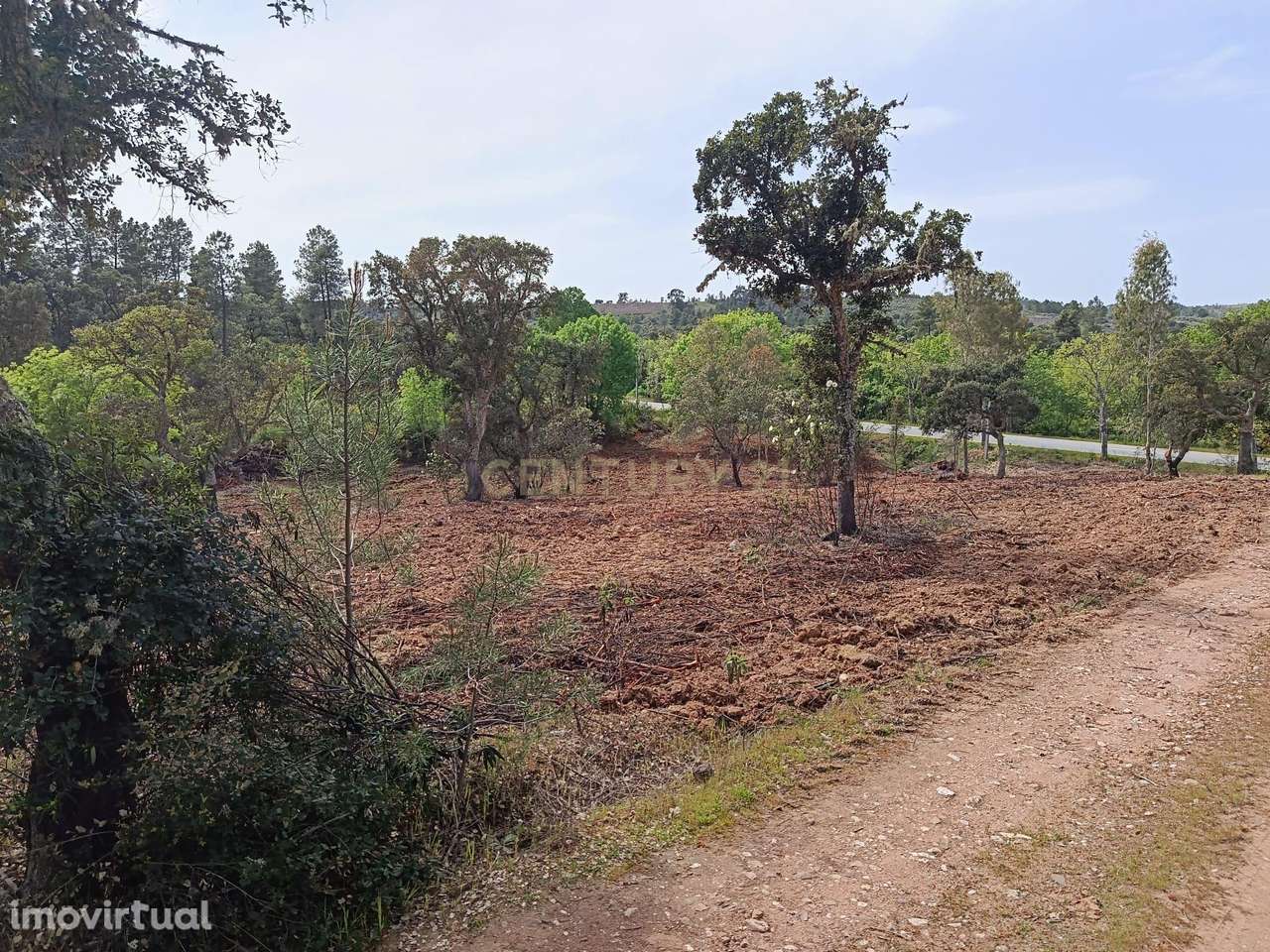 Terreno Rústico com 1.6ha Monfortinho - Grande imagem: 5/20