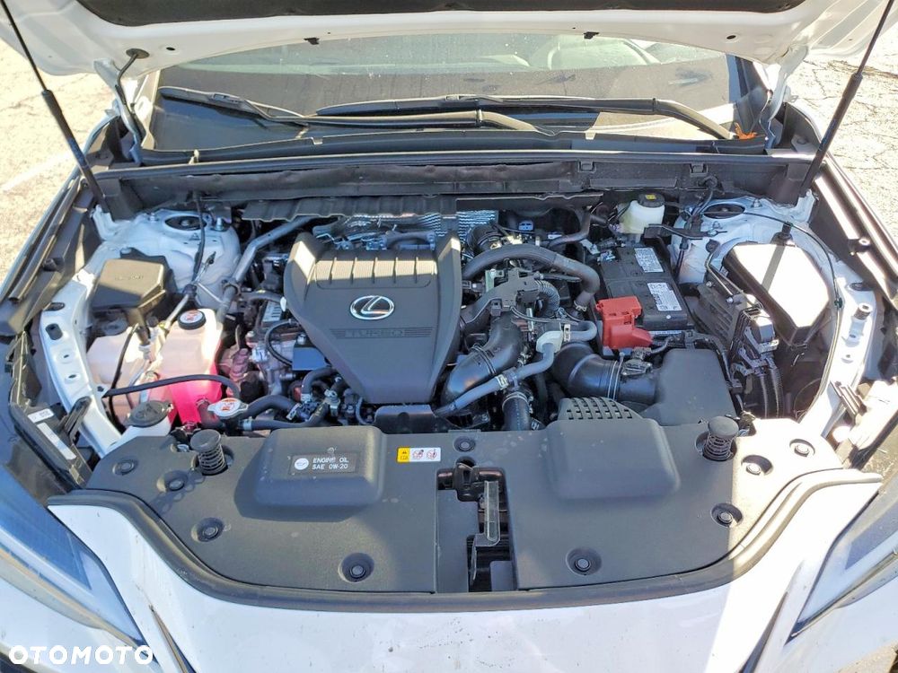 Lexus NX - 13