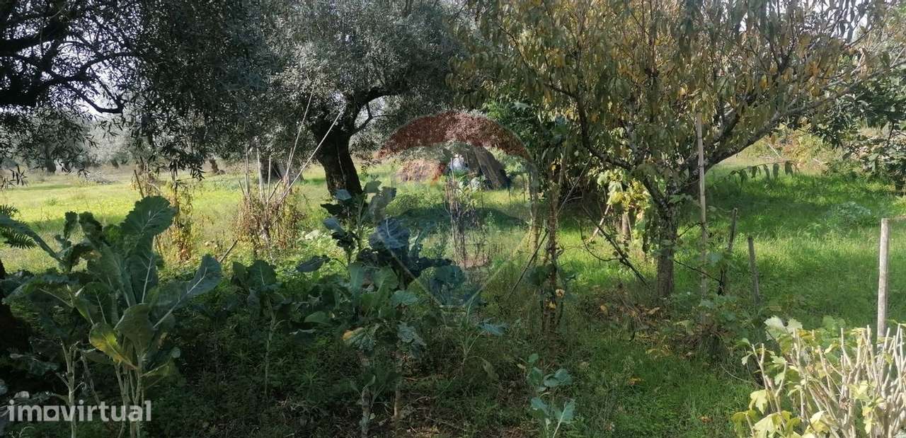 Terreno  para venda - Grande imagem: 5/10