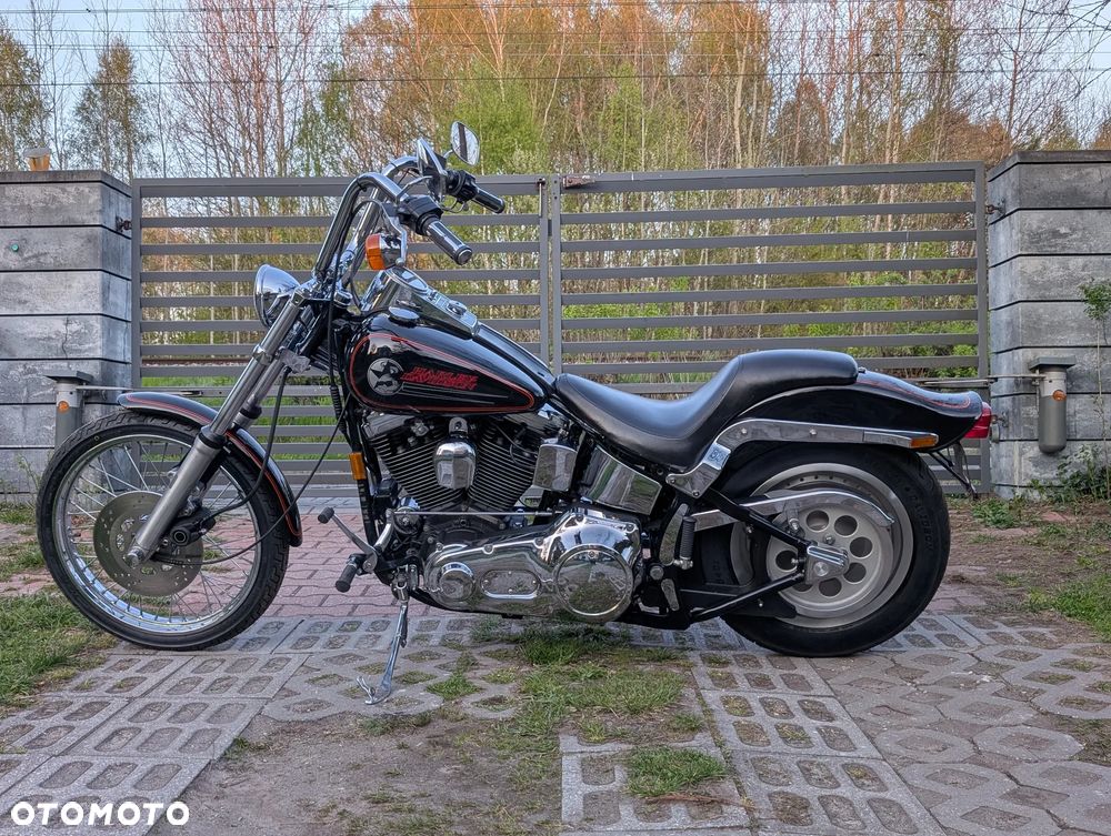 Harley-Davidson Softail Standard - 9