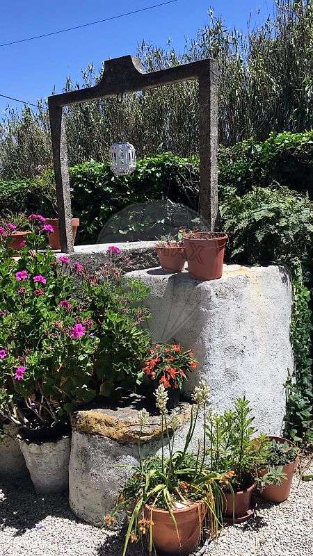 Quinta T3 para venda - Grande imagem: 4/49
