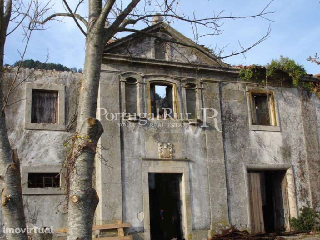 Antigo solar e quinta na encosta do Caramulo - Grande imagem: 5/24