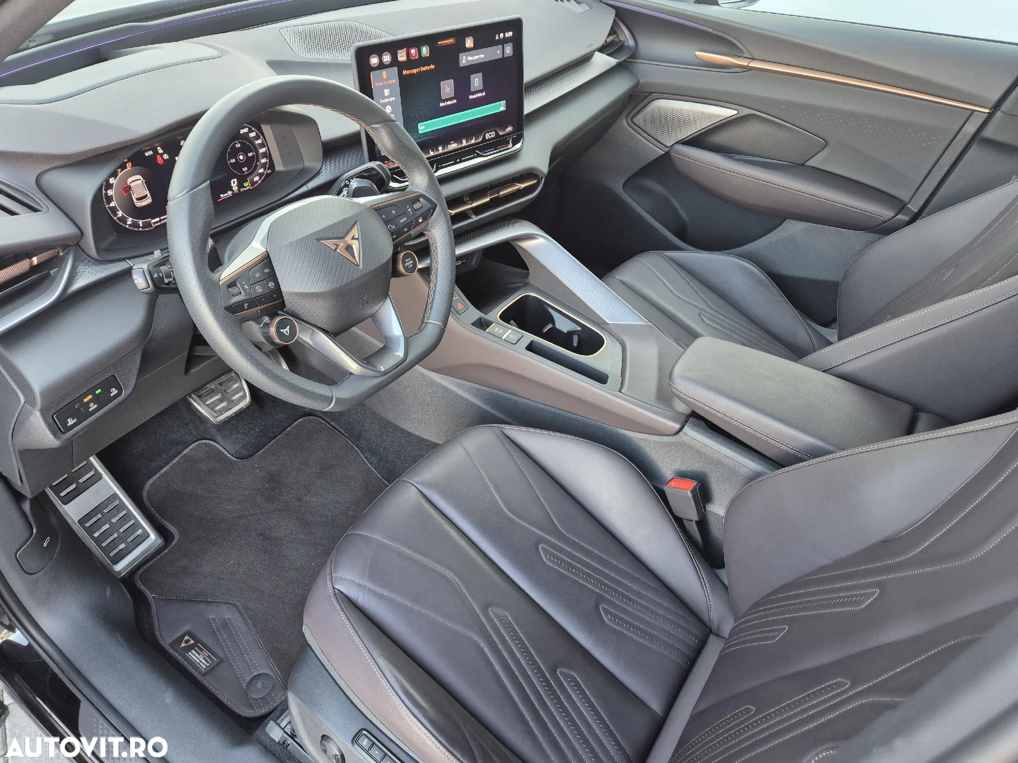 Cupra Terramar - 10