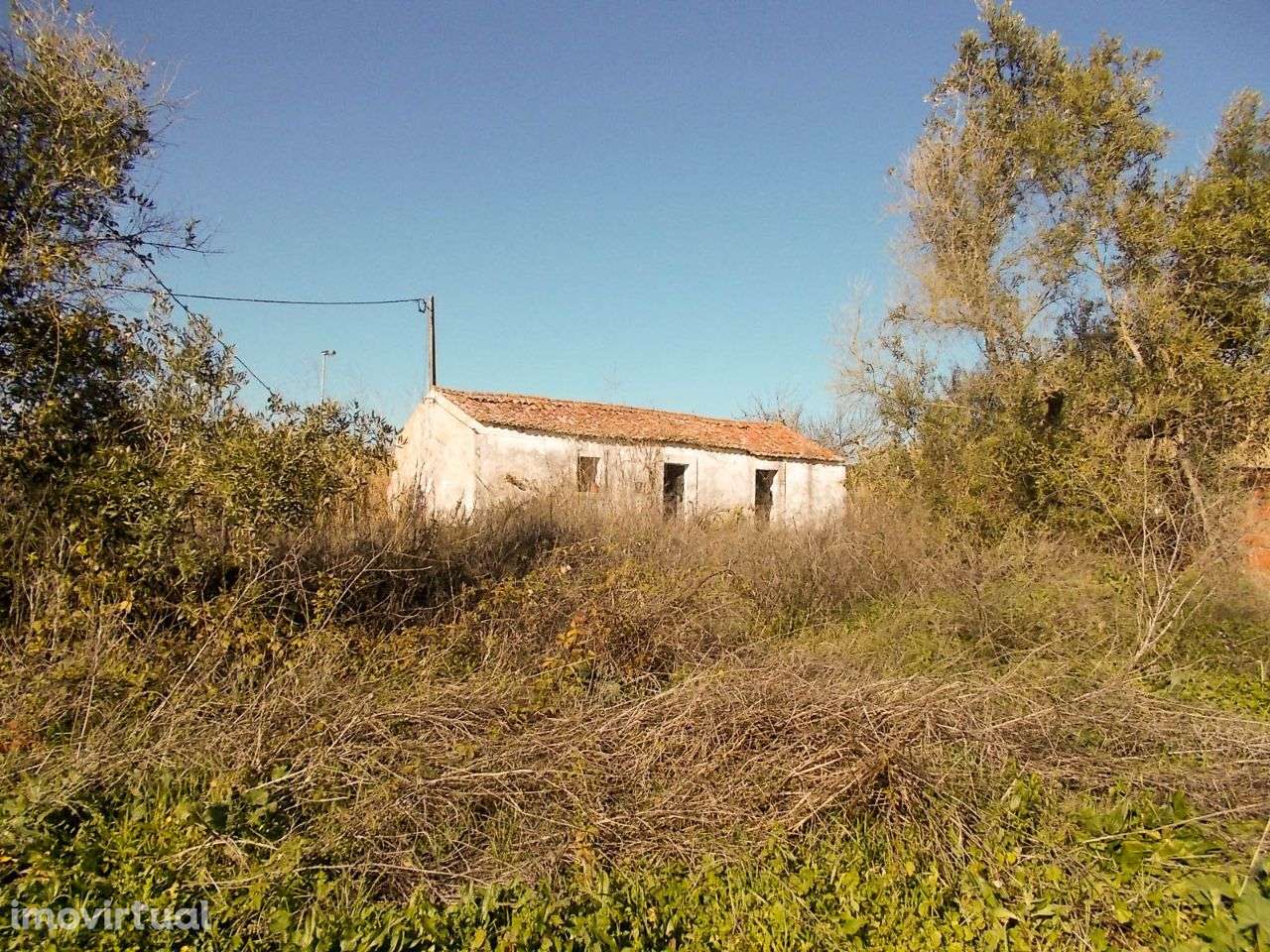 Terreno de 3Ha com Possibilidade de Lotear - Grande imagem: 2/10