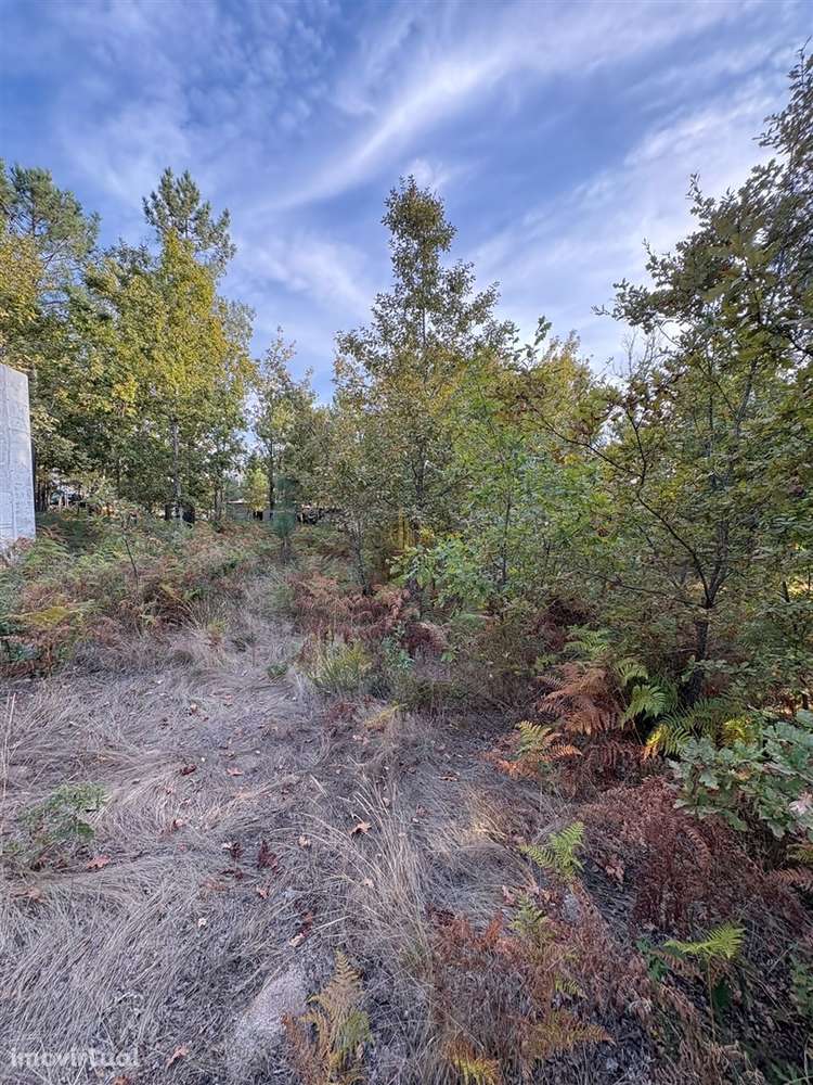 Terreno Para Construção  Venda em Bodiosa,Viseu - Grande imagem: 4/4