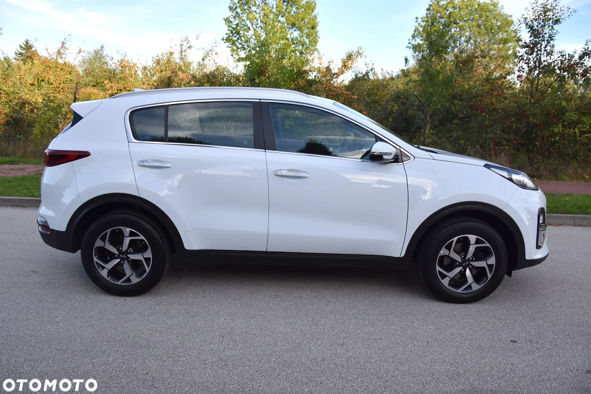 Kia Sportage 1.6 GDI L 2WD - 12