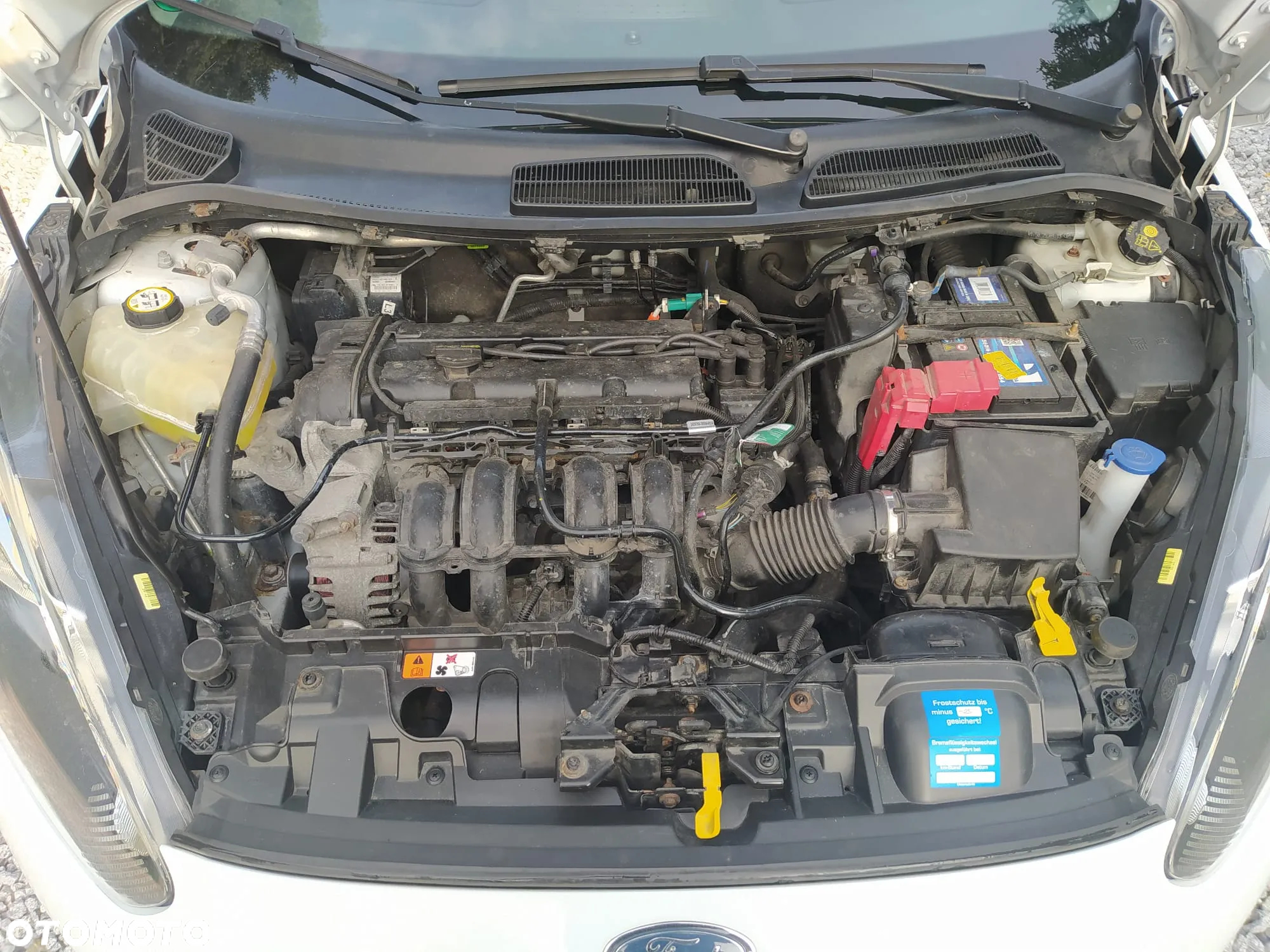 Ford Fiesta 1.25 Ambiente - 8