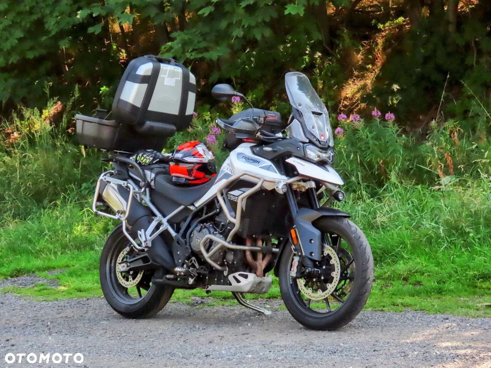 Triumph Tiger - 1