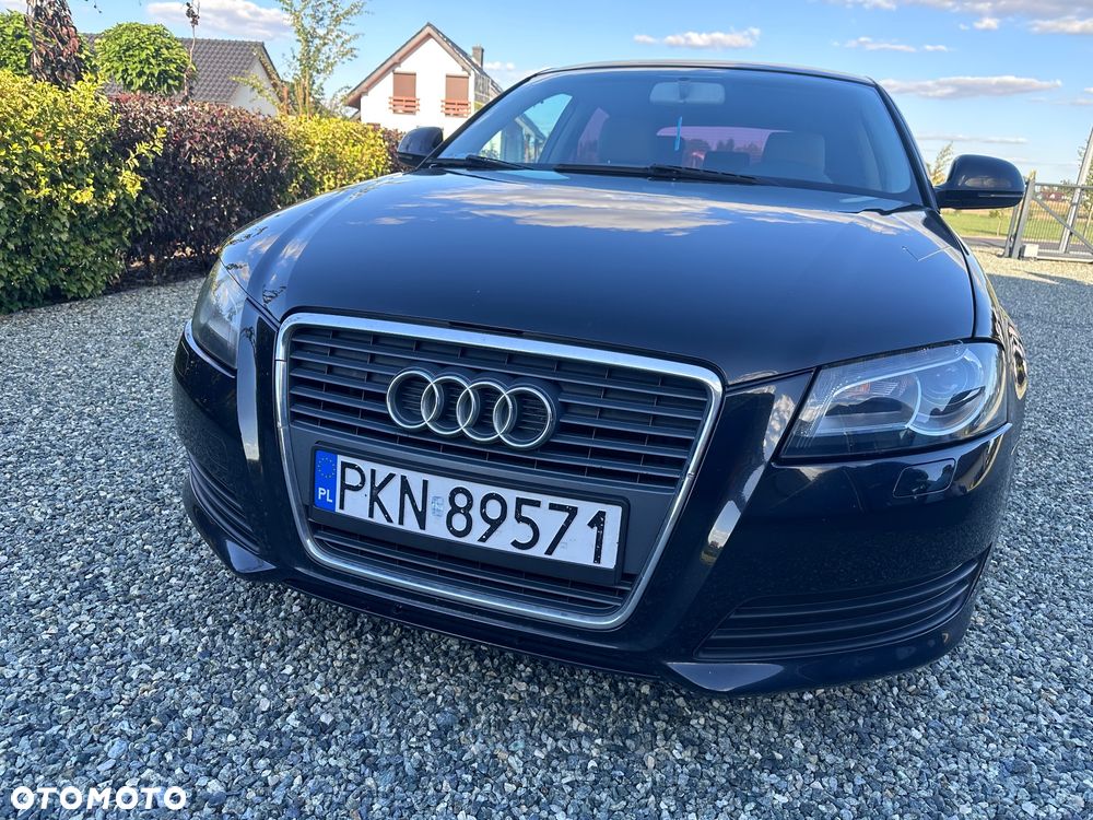 Audi A3 3-drzwiowe 1.6 Ambition - 5