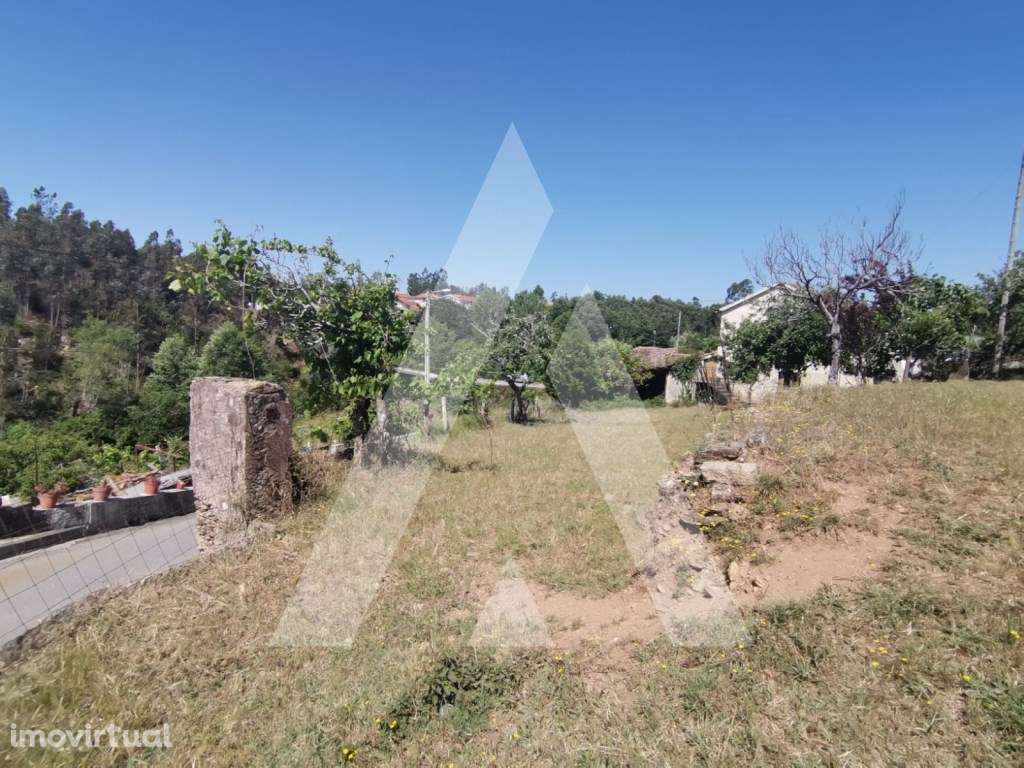 Terreno Urbano para Construção de Moradia nas Frias - Albergaria-a-... - Grande imagem: 3/11