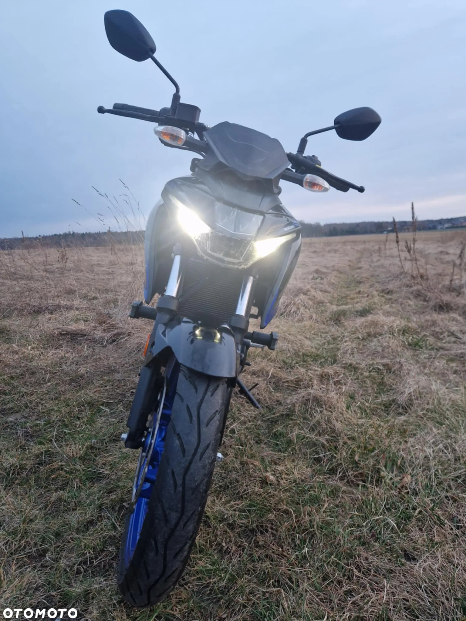 Suzuki GSX - 4
