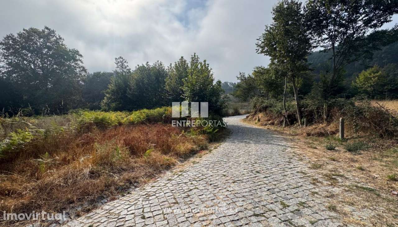 Venda Terreno, Vila Boa de Quires, Marco de Canaveses - Grande imagem: 2/30