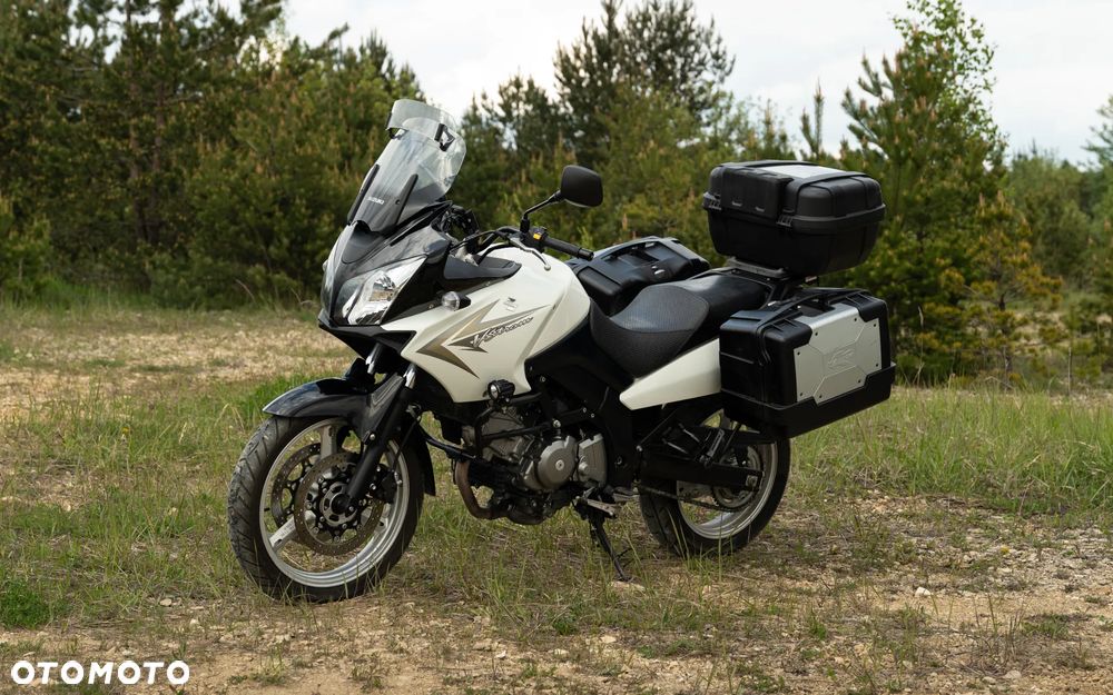 Suzuki DL