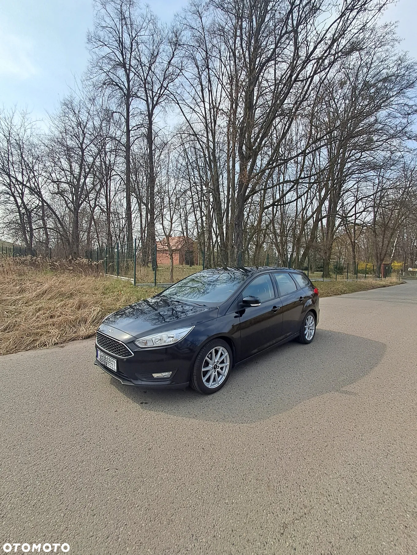 Ford Focus - 6
