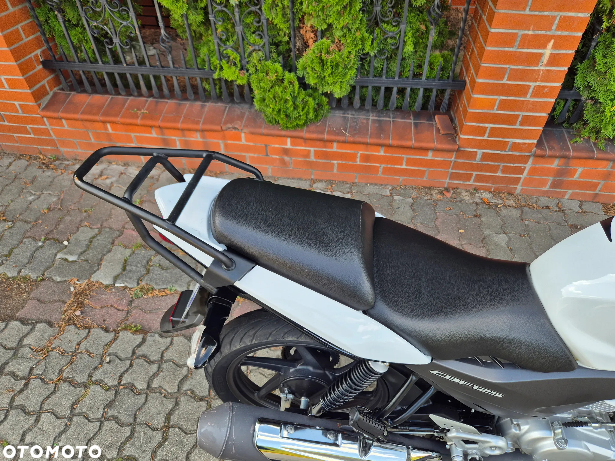 Honda CBF - 9
