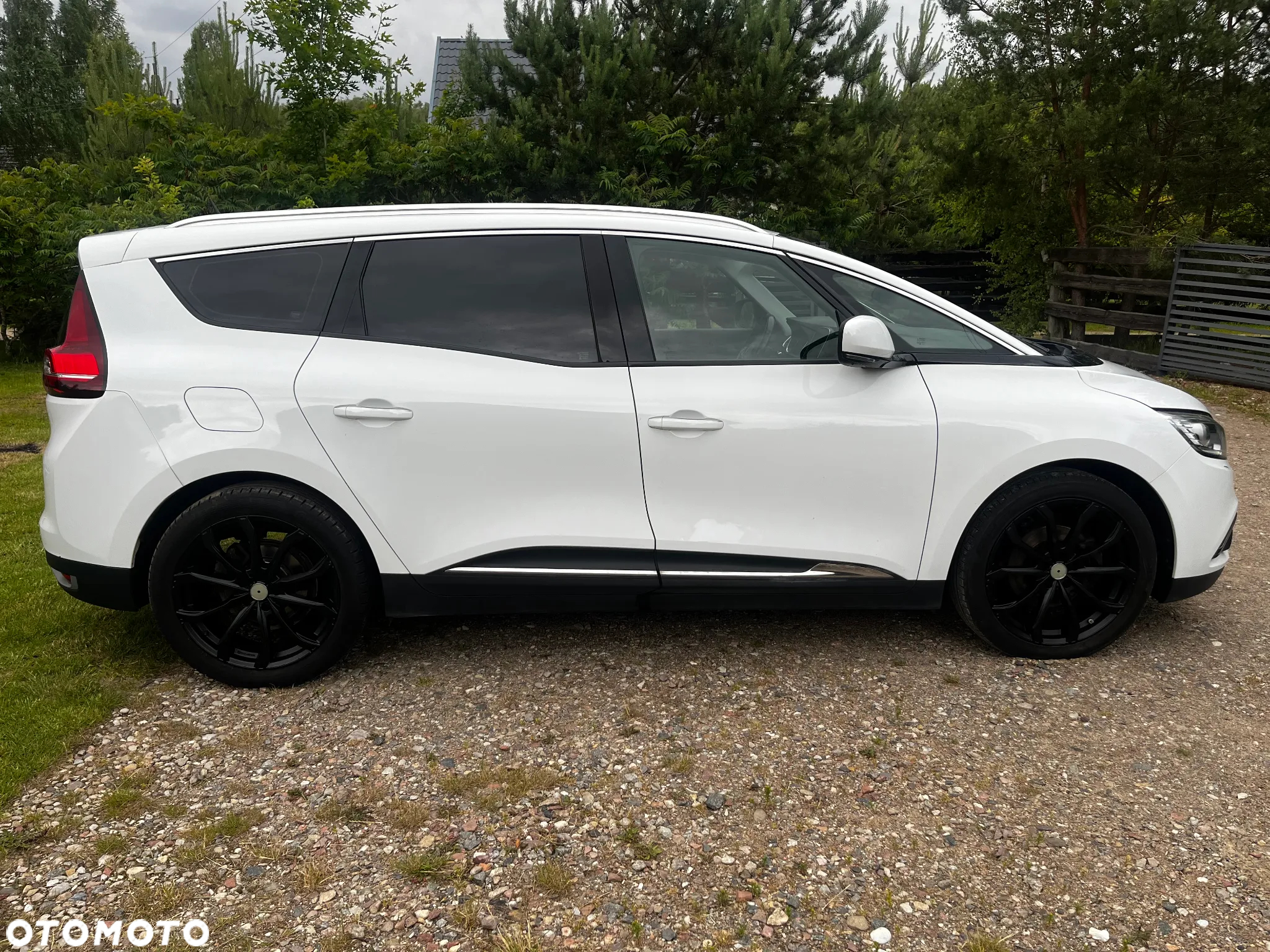 Renault Scenic 1.5 dCi Energy Life EU6 - 6