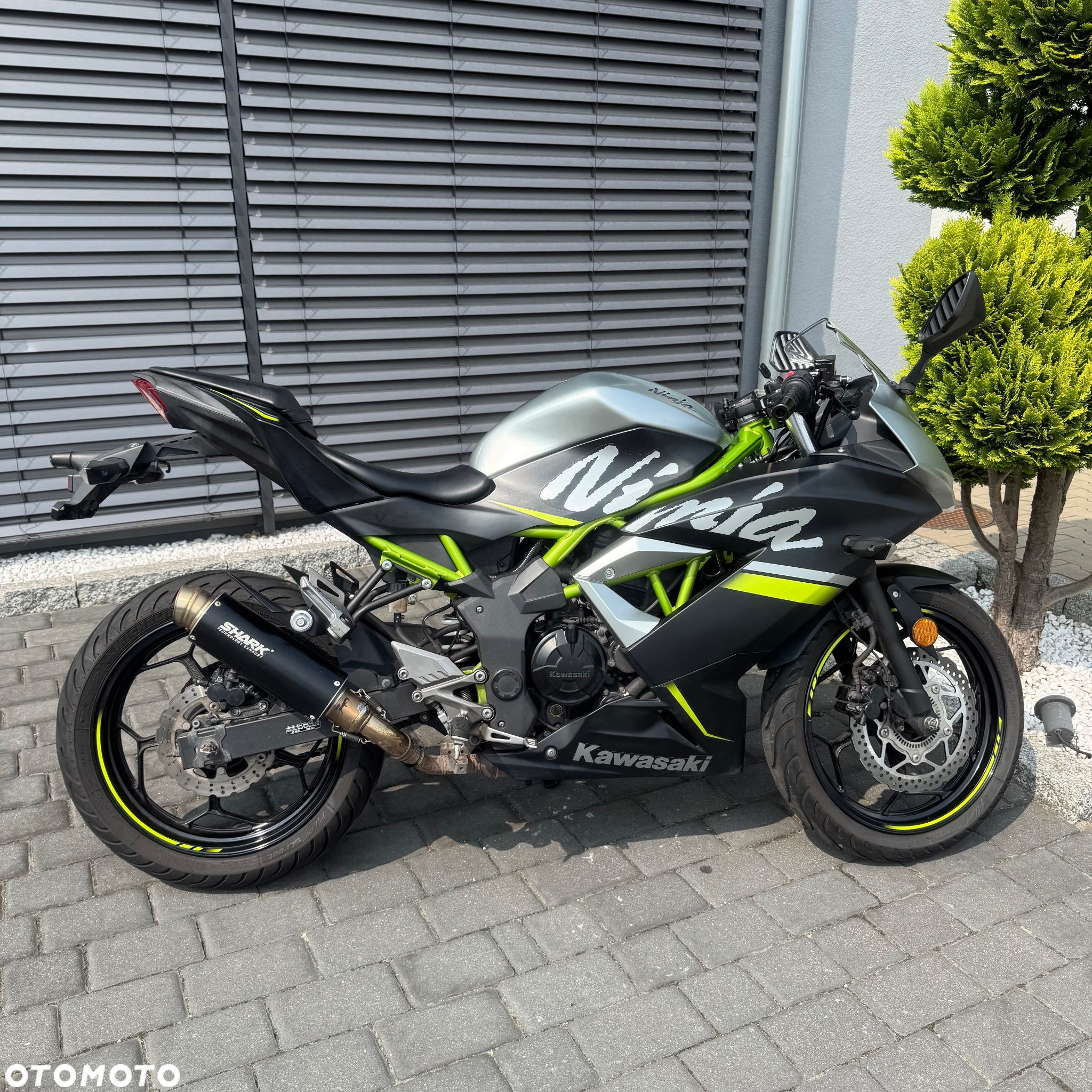 Kawasaki Ninja - 2