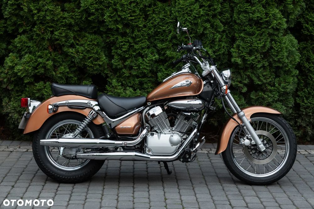 Suzuki Intruder - 4