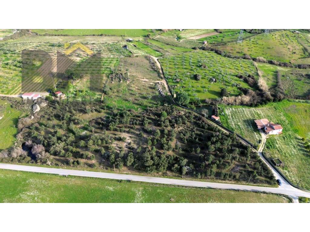 Terreno rústico com 5.750m² em Castelo Branco - Grande imagem: 4/20