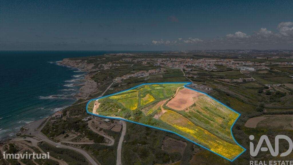 Terreno Agrícola em São Pedro da Cadeira - Grande imagem: 4/27