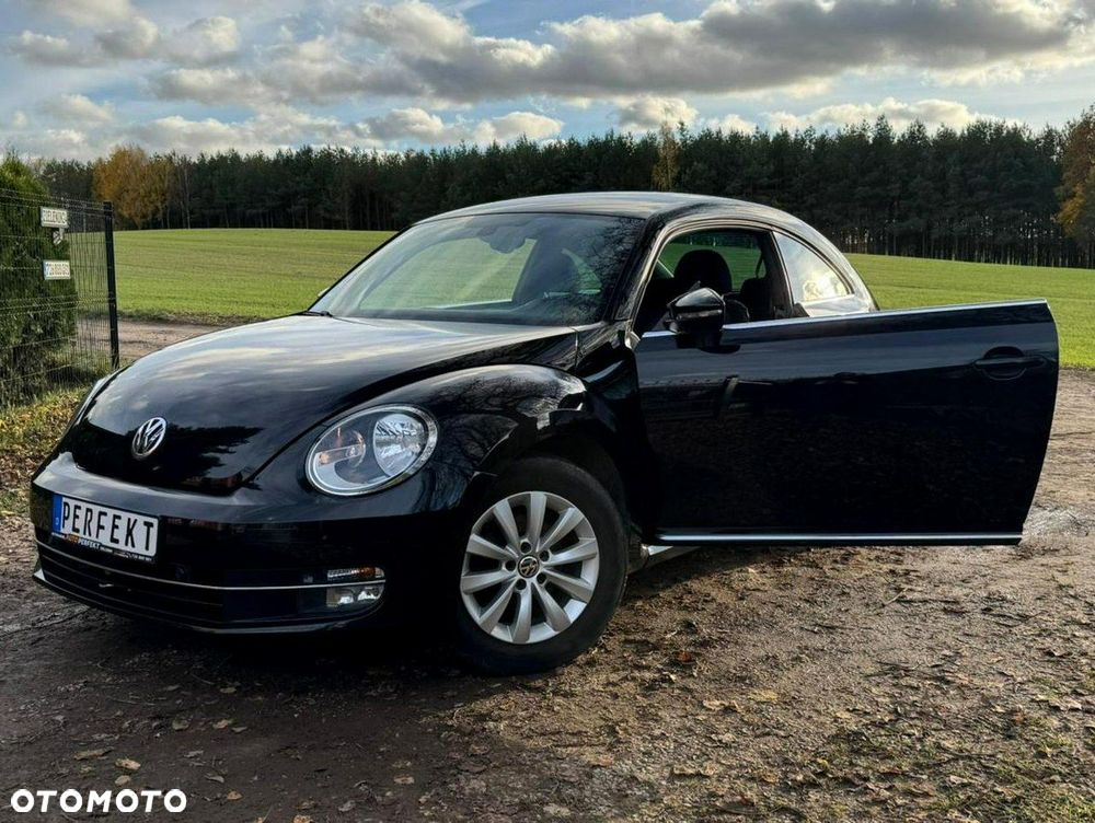 Volkswagen Beetle - 9