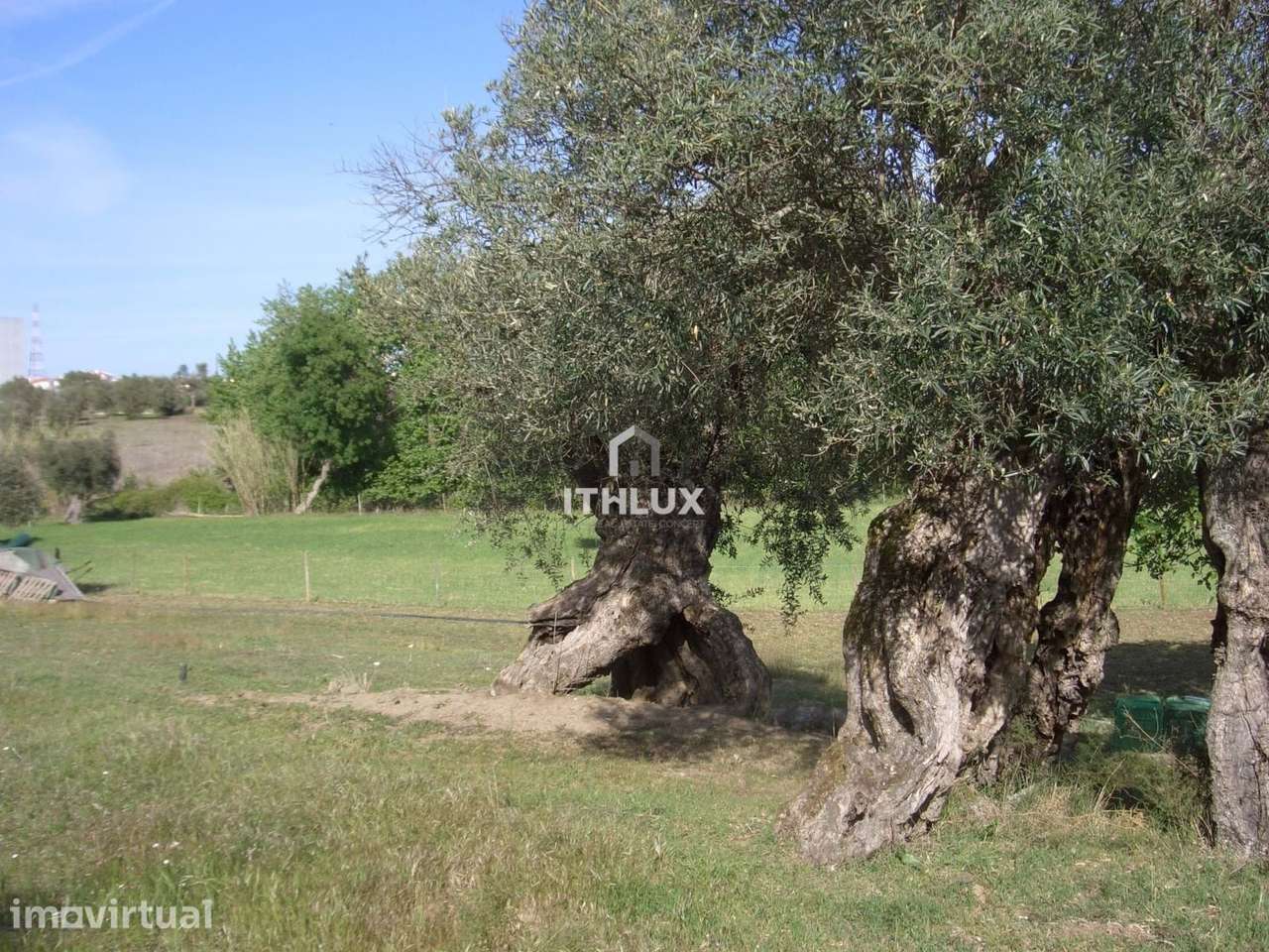 Quinta com 16.000 m2 com Moradia T1 em Elvas | Alentejo | Portugal - Grande imagem: 4/22