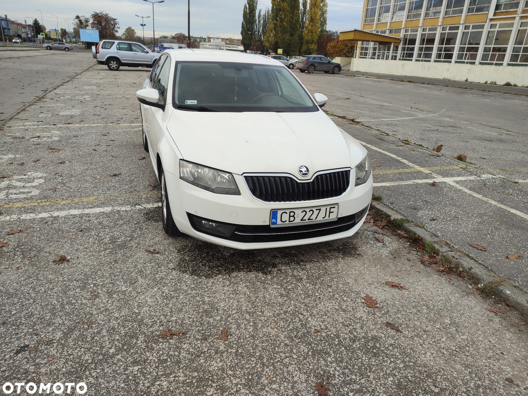 Skoda Octavia 1.6 TDI Ambition - 13