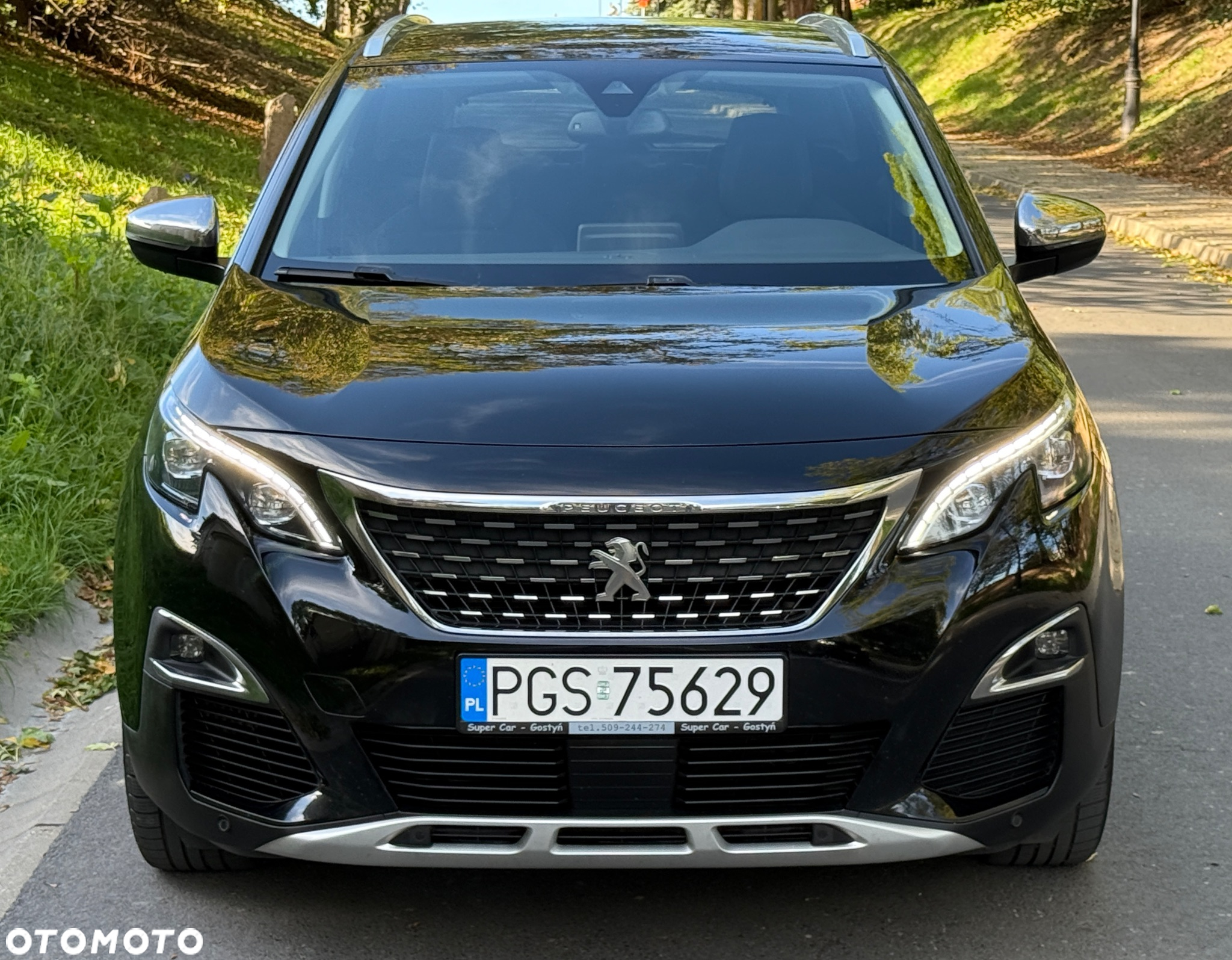 Peugeot 3008 1.5 BlueHDi Crossway S&S - 5