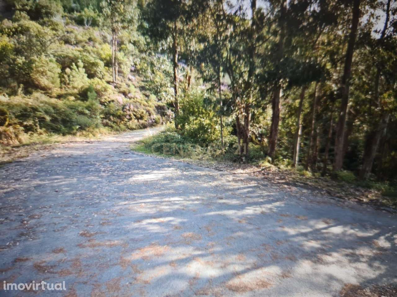 Terreno Urbano Sertã - Grande imagem: 2/3