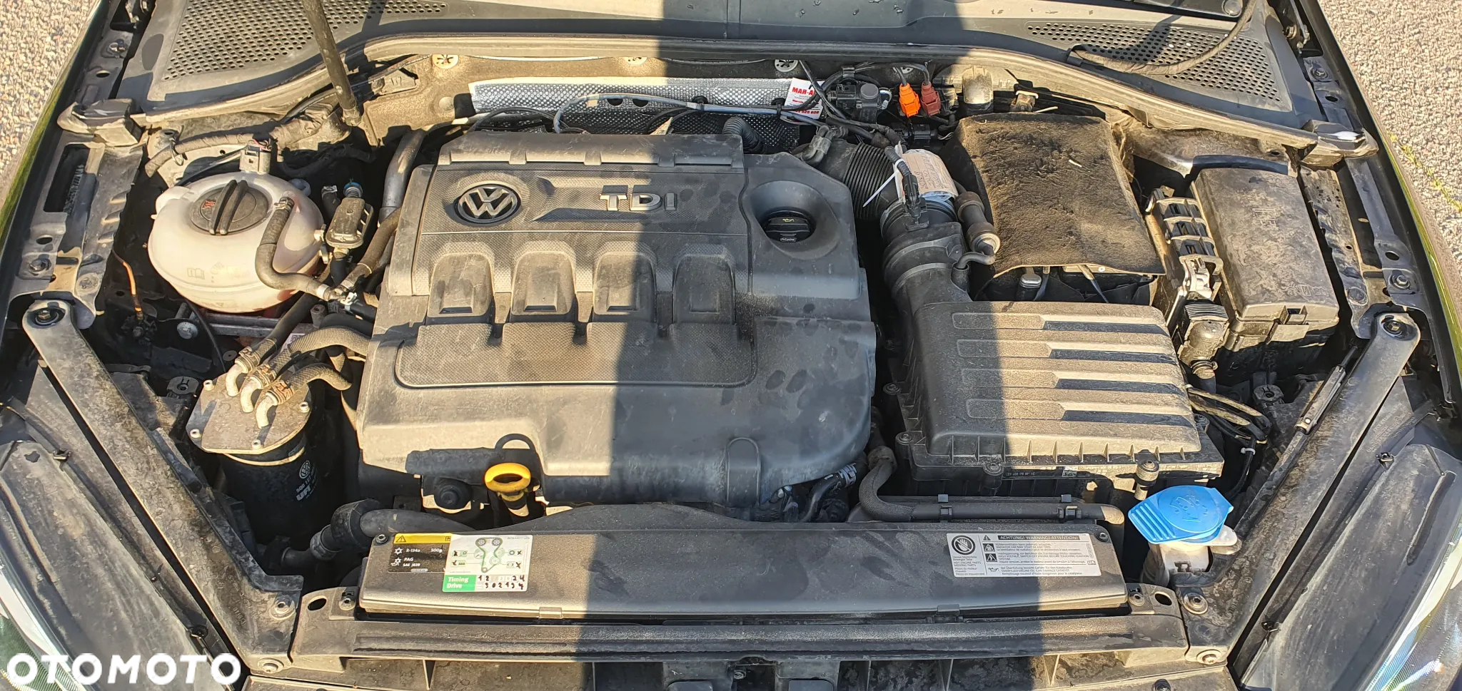 Volkswagen Golf - 19