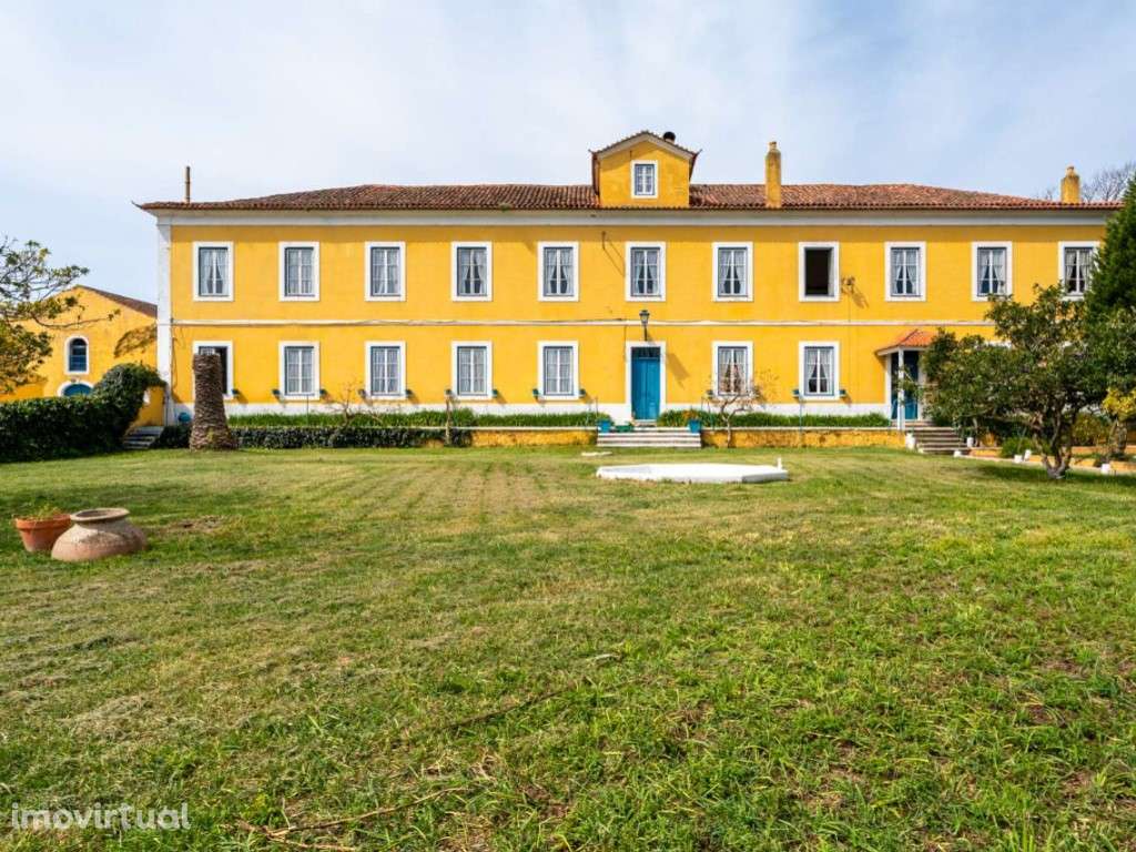 Quinta do Campo, 6 ha em Valado de Frades, Nazaré - Grande imagem: 2/60