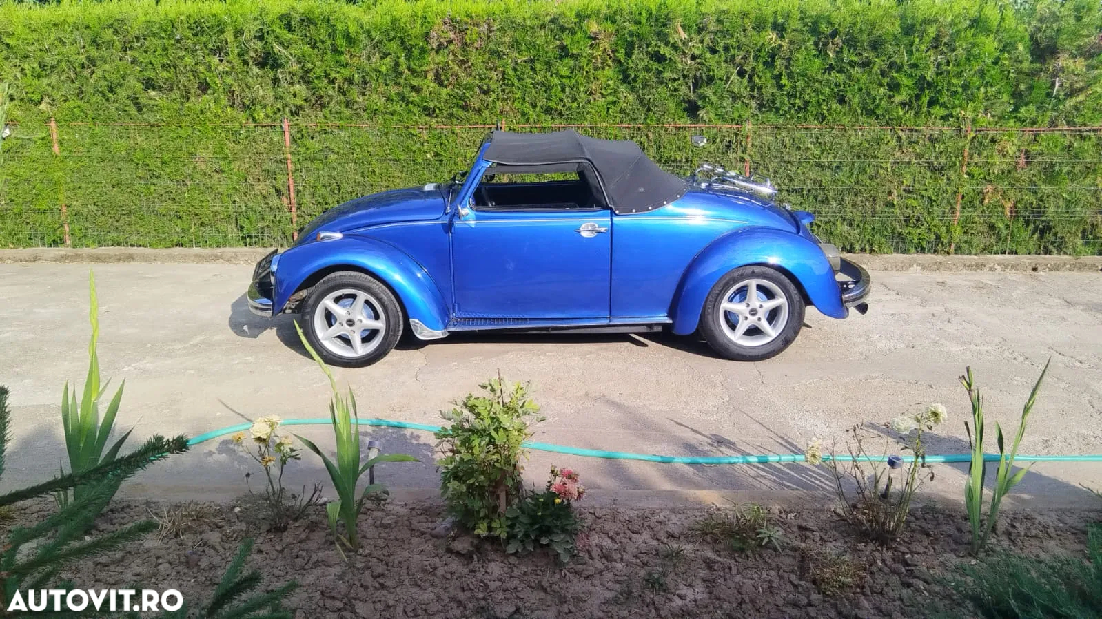 Volkswagen Beetle - 4