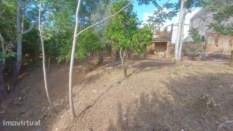Terreno com casa em ruinas - Grande imagem: 5/9