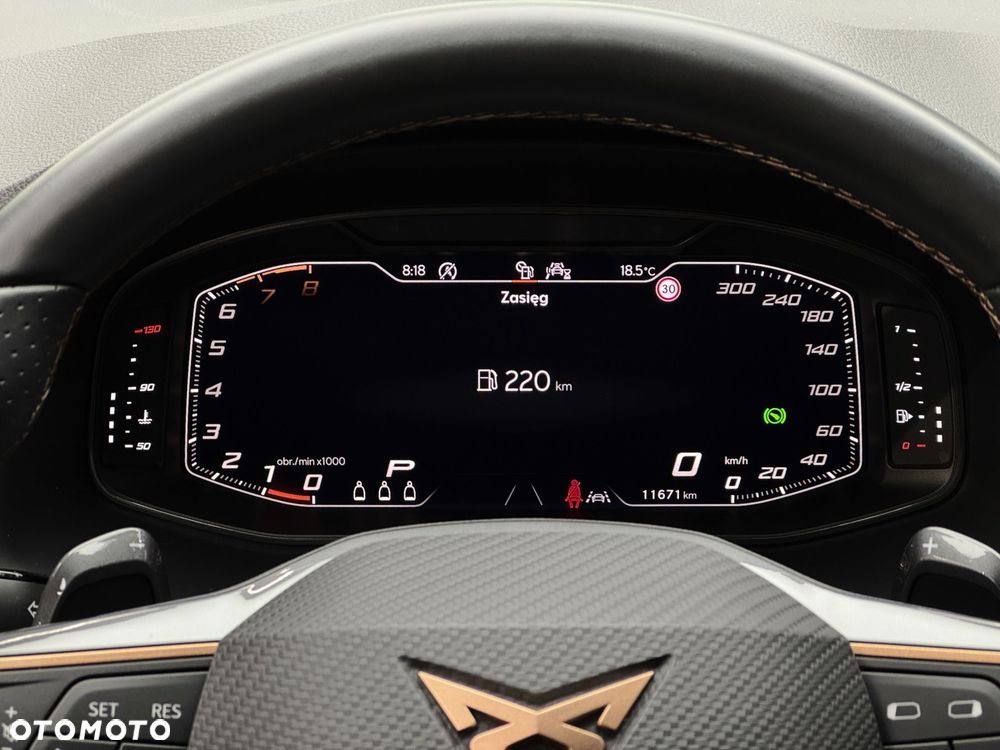 Cupra Ateca 1.5 TSI DSG - 18