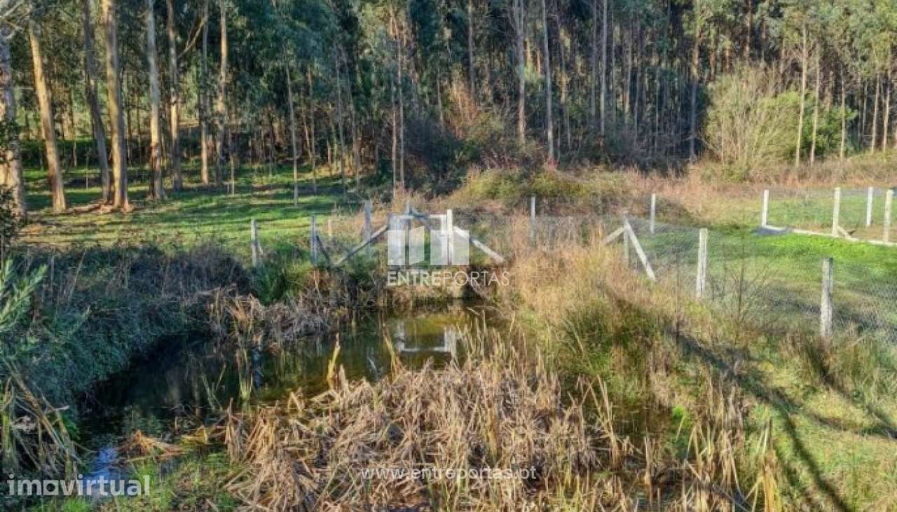 Venda de terreno agrícola, Chafé, Viana do Castelo - Grande imagem: 3/30