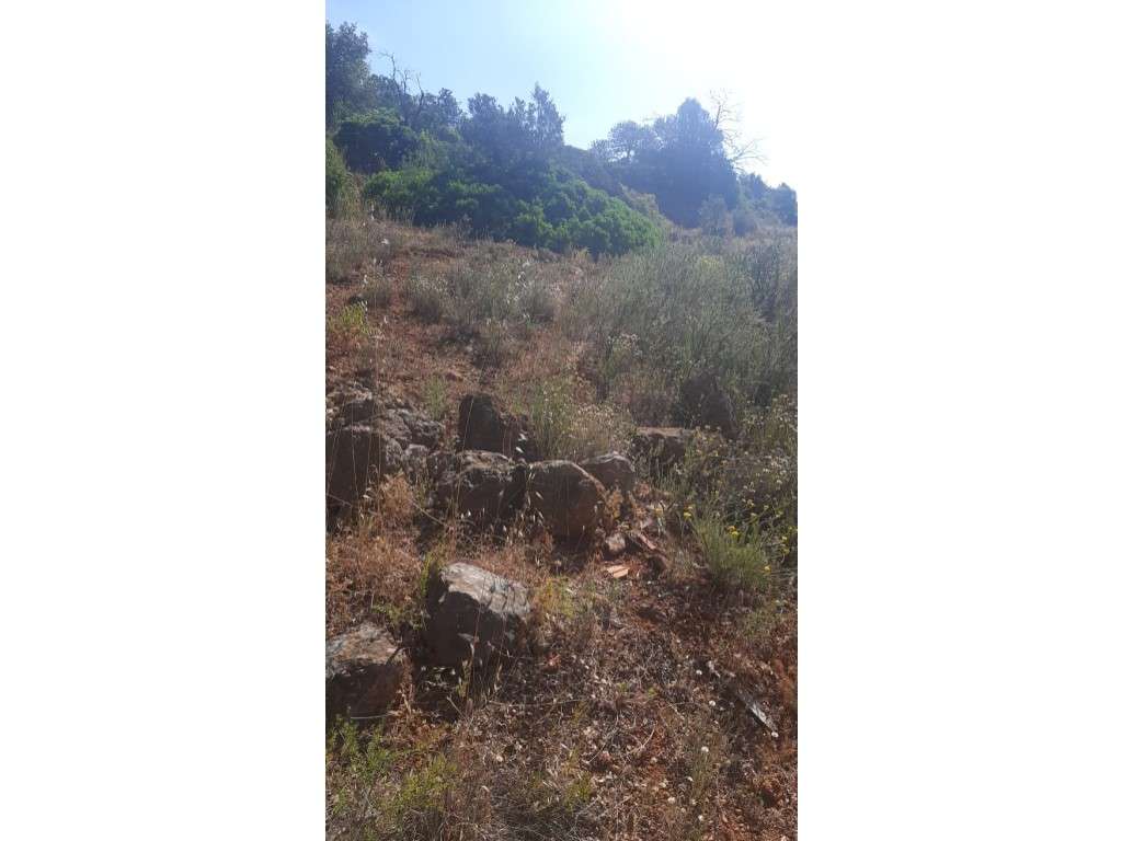 Terreno com 3 Ruinas em Vale Judeu - Grande imagem: 2/29