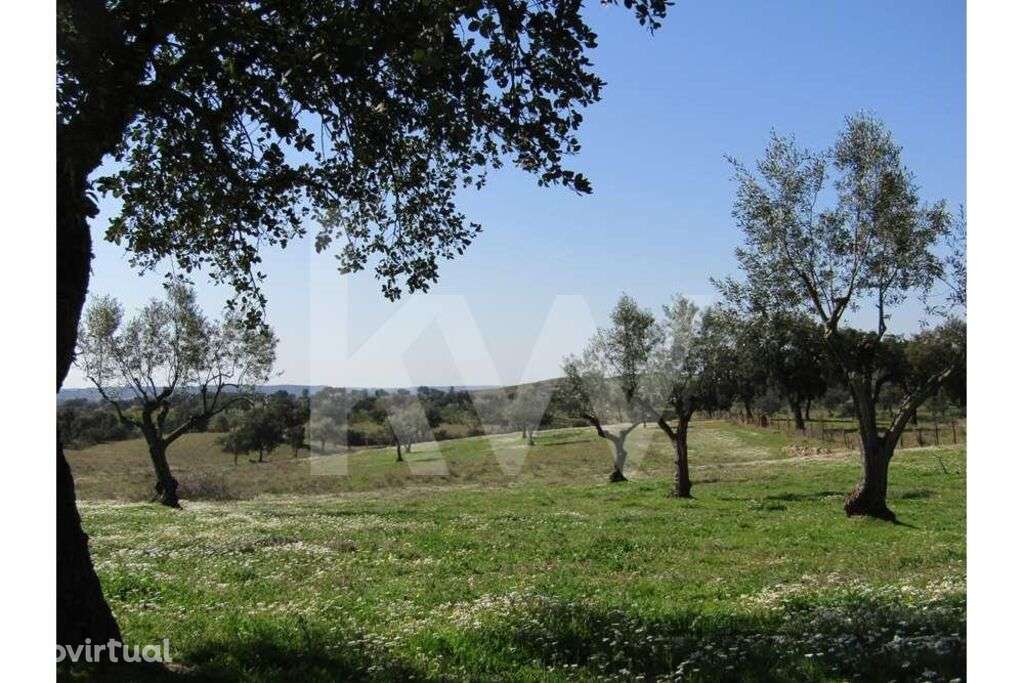 TERRENO AGRÍCOLA COM 3.325 HA  COMENDA, GAVIÃO - Grande imagem: 3/16