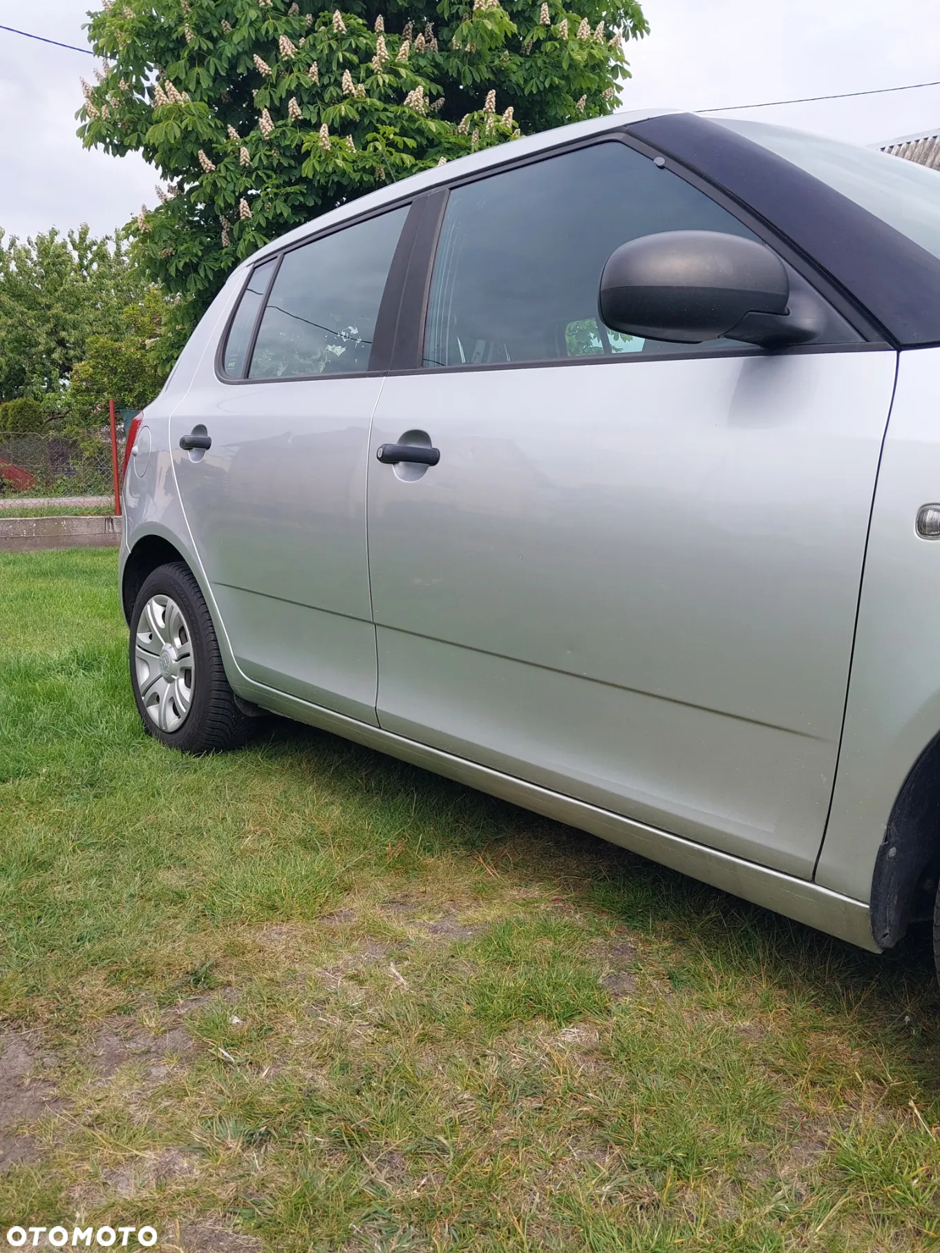 Skoda Fabia 1.6 TDI DPF Classic - 5
