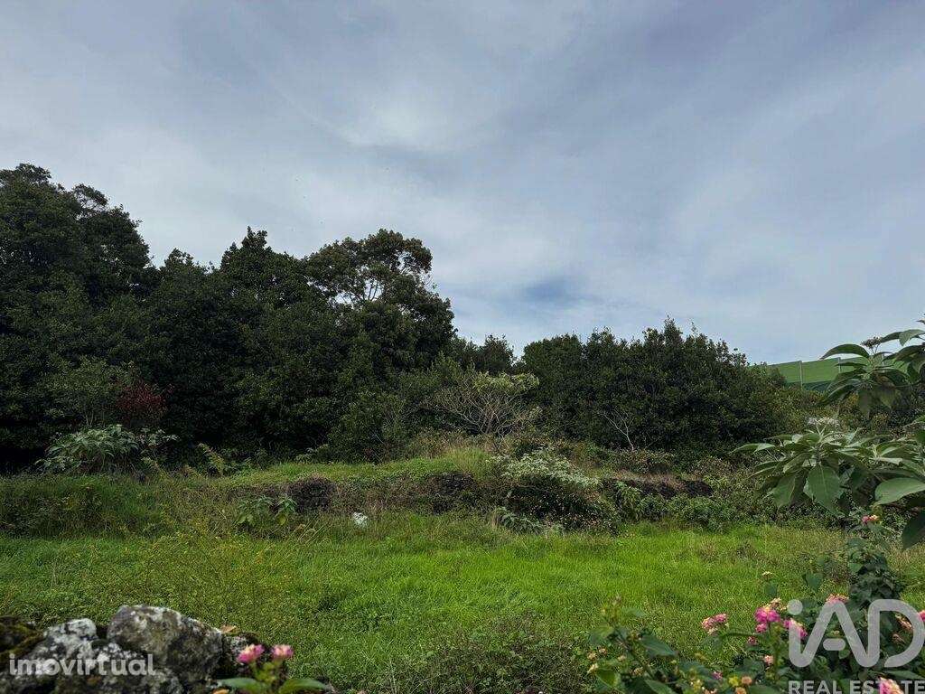 Terreno Agrícola em Lagoa (Nossa Senhora do Rosário) - Grande imagem: 3/4
