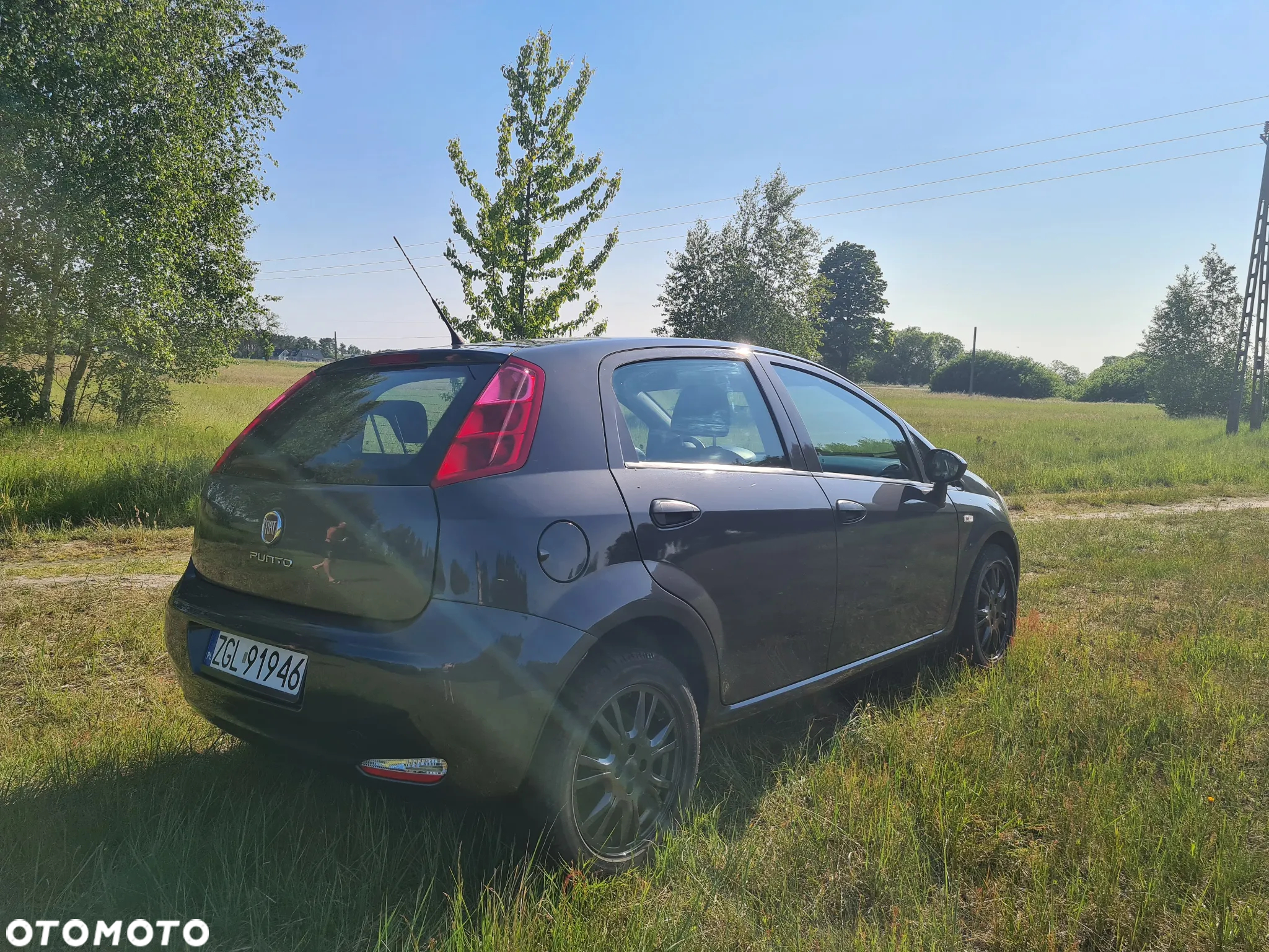 Fiat Punto - 16