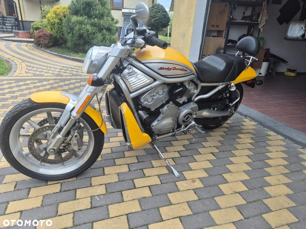 Harley-Davidson V-Rod Street Rod - 3