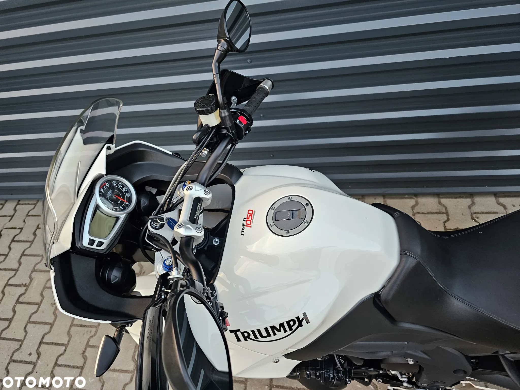 Triumph Tiger - 9