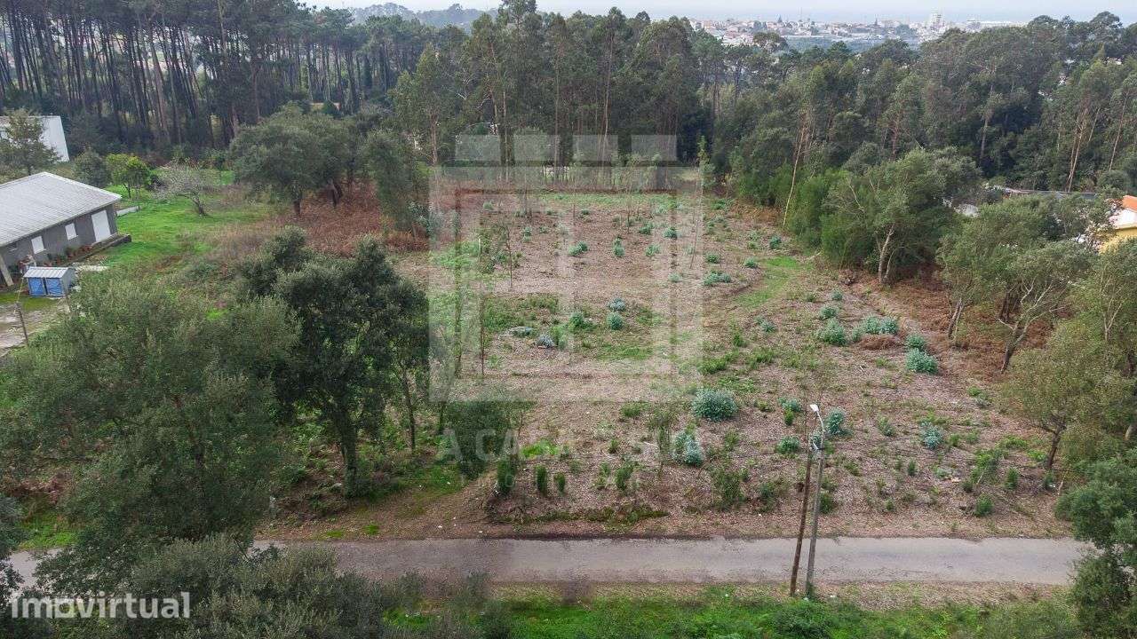 Terreno Rústico com viabilidade de construção em Anta, Espinho - Grande imagem: 4/16
