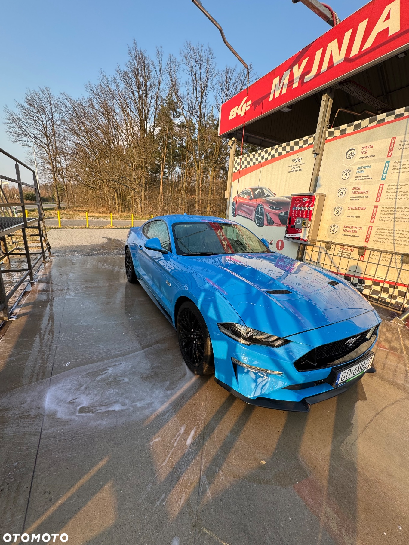 Ford Mustang 5.0 V8 GT - 10