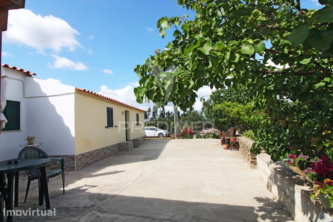 Quinta com 7,500 ha em São Martinho das Amoreiras - Grande imagem: 3/33